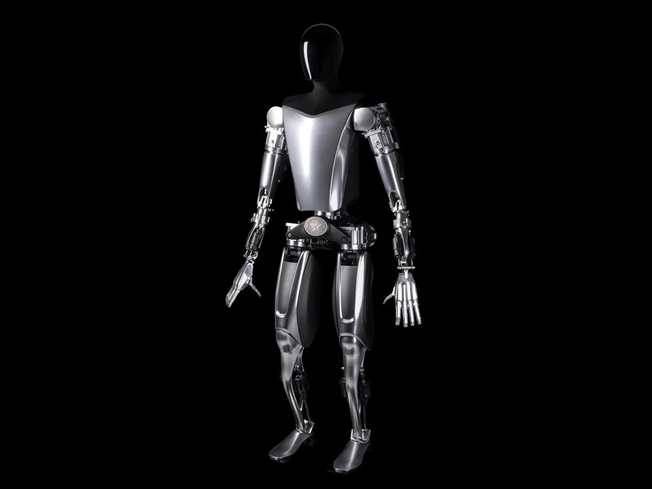 tesla-bots